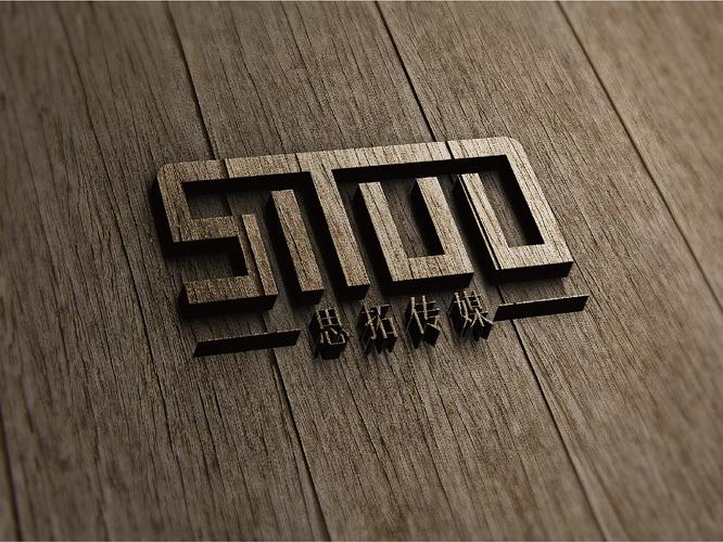 思拓传媒公司品牌设计